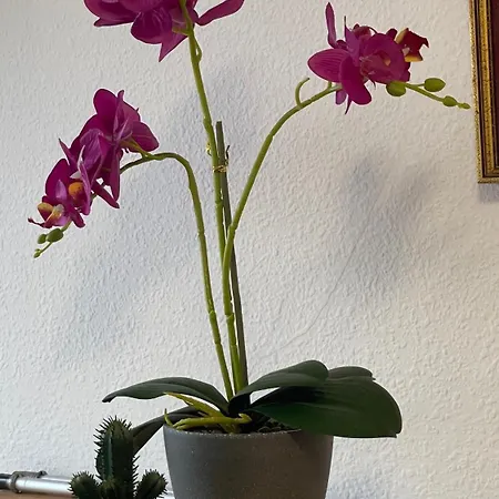 아파트 Virgen De Guia 3-4 Personas 리바데세야